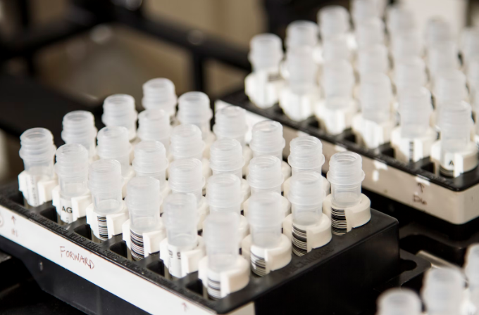 What to Look for When Choosing Employee Drug Testing Companies